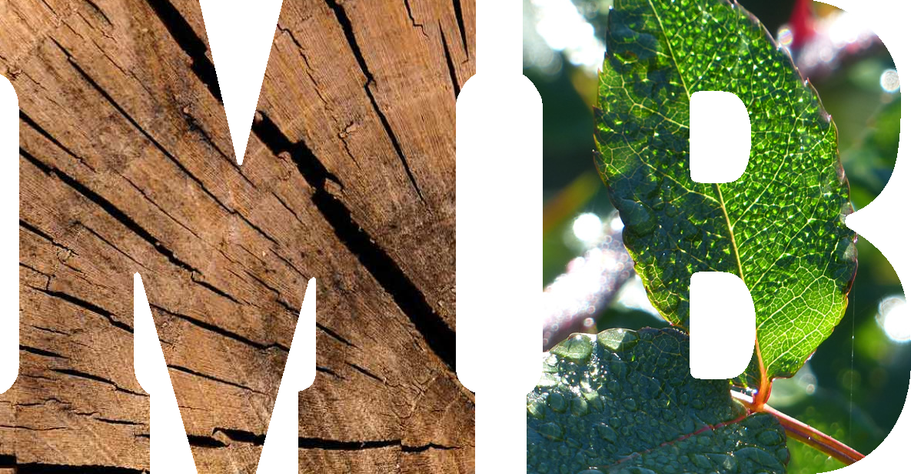 MB Erdarbeiten/Gartenbau